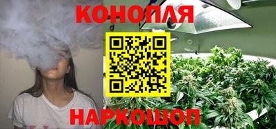 a pvp Ставрополь