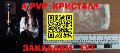 a pvp Ставрополь