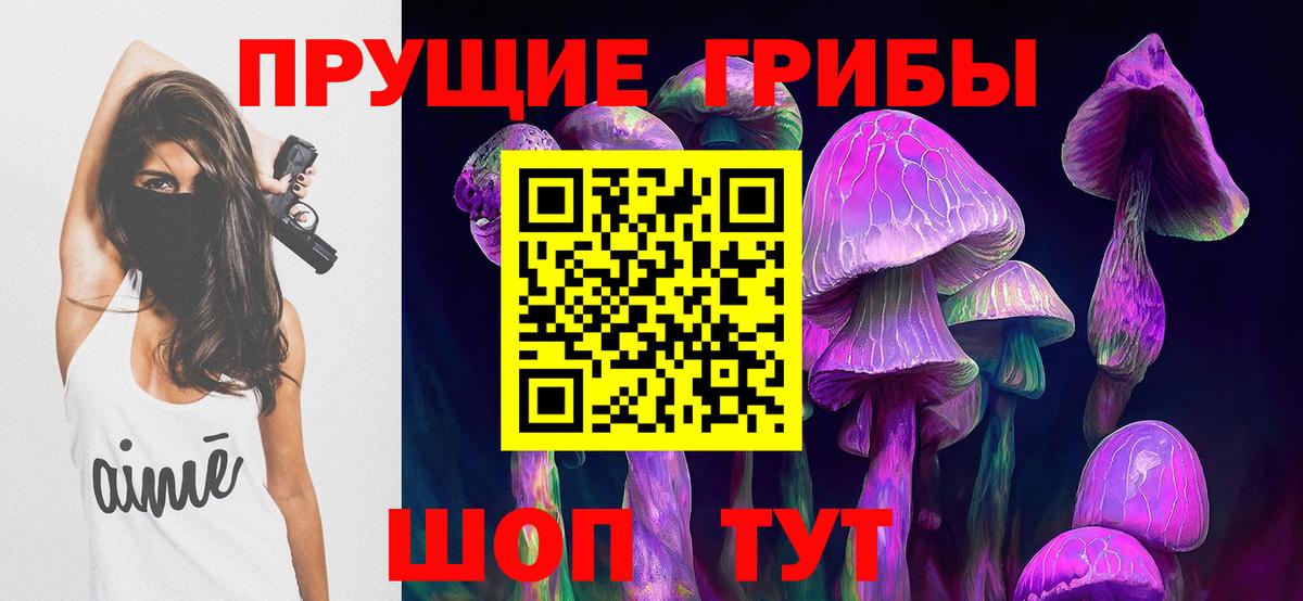 Псилоцибиновые грибы мицелий  купить наркотики цена  Отрадный  Вход с VPN  Галлюциногенные грибы Magic Shrooms 